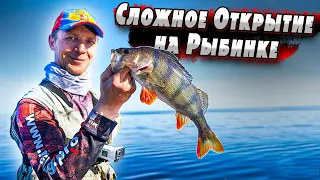 Открытие с лодки на Рыбинке | Джиг с Лодки | Окунь на рыбинке