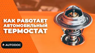 Как работает автомобильный термостат, принцип действия | AUTODOC #autodoc #lifehack