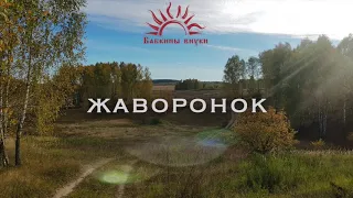 Бабкины внуки - Жаворонок (audio) Russian folk music | Lark