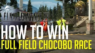 Final Fantasy XV HOW TO WIN THE "FULL FIELD" CHOCOBO RACE