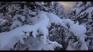 The amazing view of Alaska with heartwarming music that brings you chills,  away from tiktok