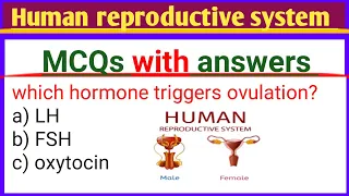 top human reproductive system mcqs/ mcqs of human reproductive system/human reproductive system mcqs