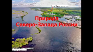 9 класс - Северо-Запад России: состав, географическое положение, природа