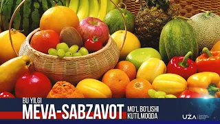 Bu yilgi meva-sabzavot moʻl boʻlishi kutilmoqda