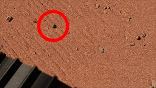 Spiders on Mars under Meteorite?
