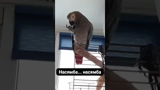 Поцелуй меня