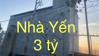 Xây dựng nhà yến || Những lưu ý rất quan trọng khi lắp đặt kỹ thuật