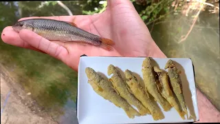 Trash Fish Catch and Cook. Are Creek Chubs good?