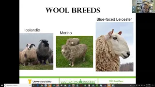 Adding Value to Your Wool for the Fiber Artist Market - Webinar