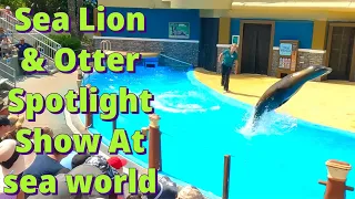 😀😀Sea Lion & Otter Spotlight At Sea world San Diego Very Awesome Full Show [4K]