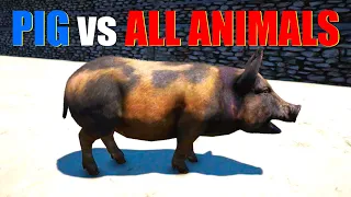 Far Cry 4 Animal Fight - Pig vs All Animals Battles (Custom Map Editor)