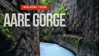 Aare Gorge Switzerland - walking tour near Meiringen in 4K