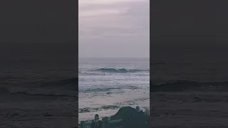 Wave of the day 🔥  🙏 @surfline  📍Pleasure Point • 01.06.23 #longboardsurfing #surfer #santacruz