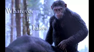 Caesar (Planet of the Apes): "Whatever It Takes"