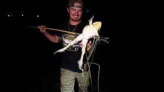 BULLFROG Gigging {Catch Clean Cook} Giant Frog Leg Alfredo