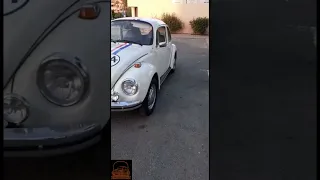 🇩🇪🇩🇪 Volkswagen Escarabajo 1303 🇩🇪🇩🇪
