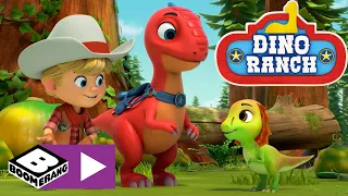 Un nuovo amico | Dino Ranch | Boomerang Italia