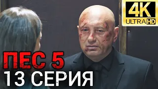 Сериал ПЕС 5 сезон - 13 серия - Все серии подряд в 4К - Смотреть онлайн в хорошем качестве