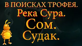 День рождение Термита.  Река Сура. Сом, Судак. [1440p] Русская рыбалка 4. Russian Fishing 4.