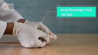 PHARMACOLOGY EXPERIMENT PART-1 : HANDLING OF LAB ANIMALS (RAT,MOUSE)