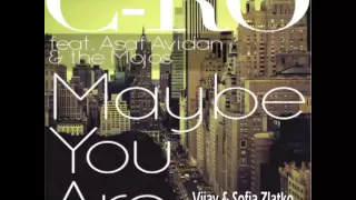 Asaf Avidan - Maybe You Are (Vijay & Sofia Zlatko Remix)