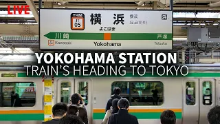 Yokohama Station Trains to Tokyo (Transfer Adventure)