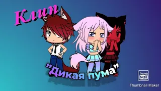 Клип |❤️ДИКАЯ ПУМА 🖤|Gacha Life|Dyfuig_S