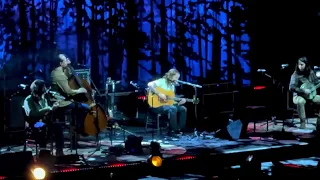 Billy Strings "Freight Train Boogie" 2023.03.03