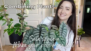 Combining Plants! | Making My Plant Room Less Cluttered and Saving Space!