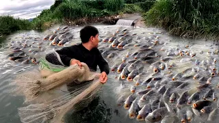 Grabe! Halos Sakupin Ng Mga Tilapia Ang Ilog Na Ito Sa Sobrang Dami Nila