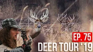 STALKING ANOTHER GIANT BUCK! - Rut Action Continues in Iowa