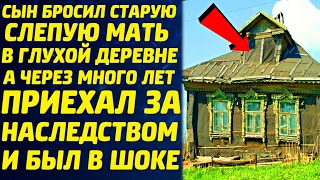 Сын бросил старую слепую мать в деревне. А через много лет приехал за наследством и был удивлён...