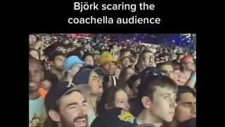 Björk scaring the coachella audience
