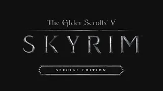 Elder Scrolls V: Skyrim (Special Edition) Part 11