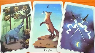 THÔNG ĐIỆP ĐỘT NGỘT NÀY TÌM ĐẾN BẠN / TAROT READING