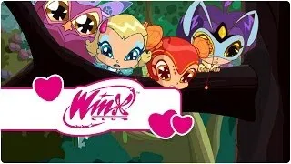 Winx Club - Season 3 Episode 20 - The Pixies' charge (clip1)