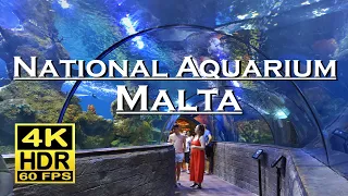 Malta National Aquarium , in 4K 60fps HDR ( UHD ) Dolby Atmos 💖 The best places 👀  , walking tour