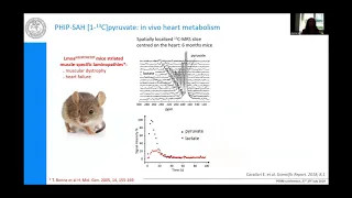 Investigating tumor metabolism using ParaHydrogen hyperpolarized [1-13C]pyruvate