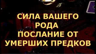 КАКИЕ СИЛЫ СКРЫТЫ В ВАШЕМ РОДОВОМ ДРЕВЕ ПОСЛАНИЕ ОТ УМЕРШИХ ПРЕДКОВ таро любви онлайн сегодня