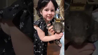 Little Girl is Best Friends With Baby Wombat 💕