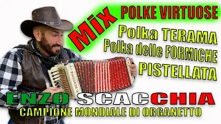 Mix Polke virtuose ENZO SCACCHIA campione del mondo. Polka teramana Polka delle formiche, Pistellata