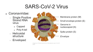 COVID-19 Pandemic Grand Rounds: Epidemiology, Transmission, Diagnostics and Clinical Course