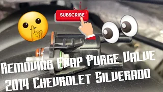 How to: Remove Evap Purge Valve 2014 Chevrolet Silverado