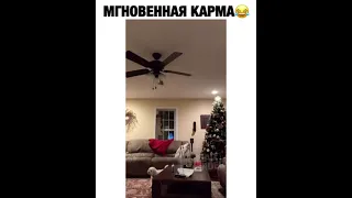 😂Я РЖАЛ ДО СЛЕЗ 😂ЛУЧШИЕ ПРИКОЛЫ 2021 😂СМЕШНЫЕ ВИДЕО 😂ПРИКОЛЫ 😂САМЫЕ СМЕШНЫЕ ПРИКОЛЫ 😂#MADVIDEO #431