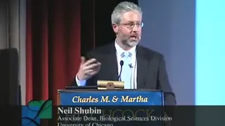 The Great Transitions in Evolution with Neil Shubin