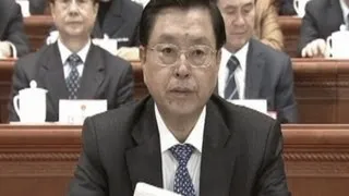 Chinesischer Spitzenbeamter verurteilt Demokratie