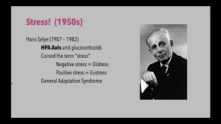 Intro to Stress & the Polyvagal Theory |  Considerations for the Movement Specialist