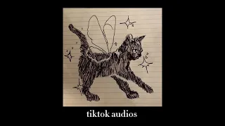 tiktok audios 152 + timestamps