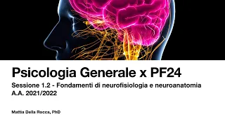 Psicologia Generale x PF 24 - Il neurone e il sistema nervoso