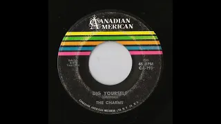 The Charms - Dig Yourself (Canadian American)